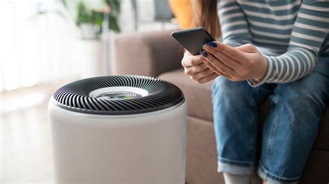 How Long Should I Run an Air Purifier: And Why Do Cats Always Sit on Them?