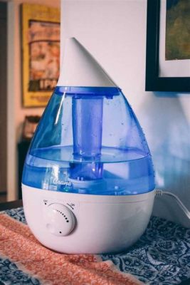 Is Air Purifier Same as Humidifier? And Why Do Cats Always Land on Their Feet?